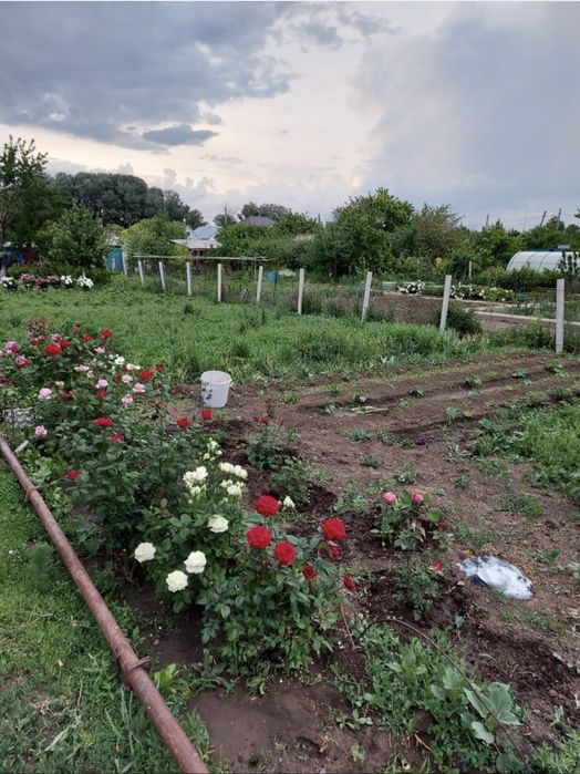 Продам дачу в Асане