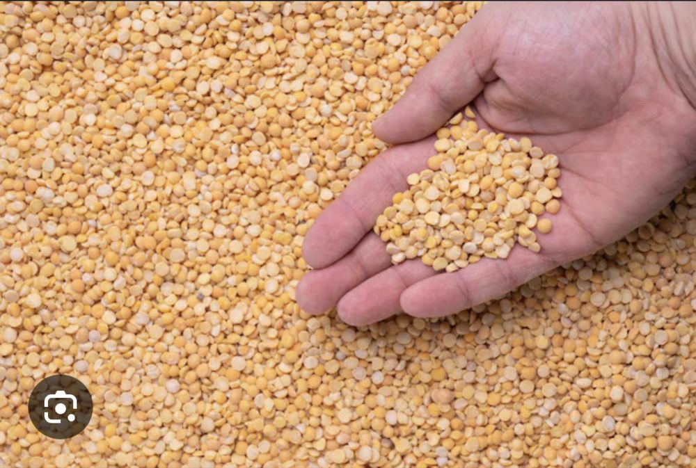 Талисман на гороховой: в чем секрет магической силы из любимого фильма?