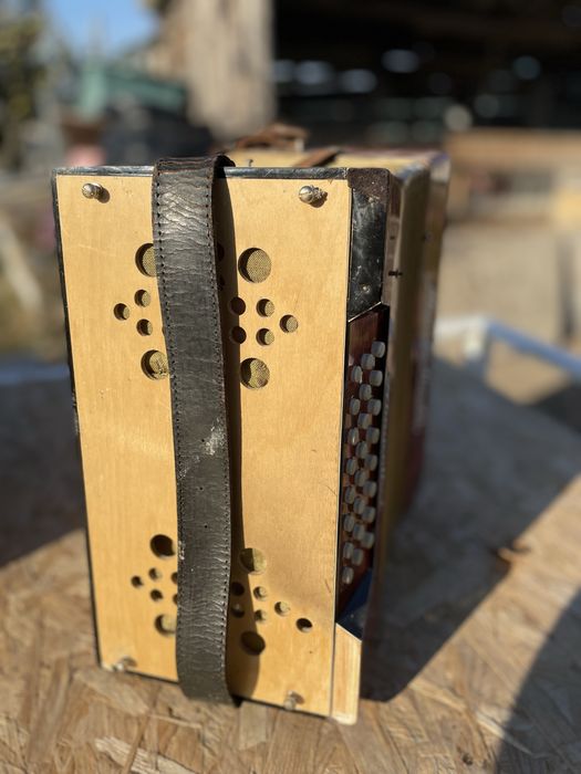 Acordeon vintige