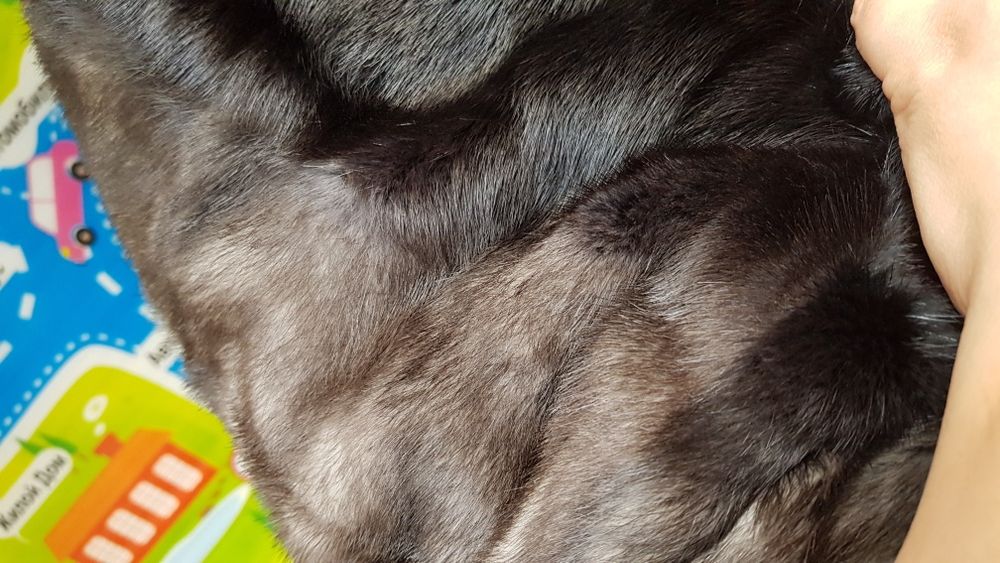 Норковая шуба идеальная