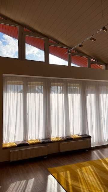 Spații de închiriat în zona Lipovei din Timișoara