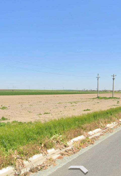 Teren extravilan 5000m2 Dorobanțu (lângă șosea)