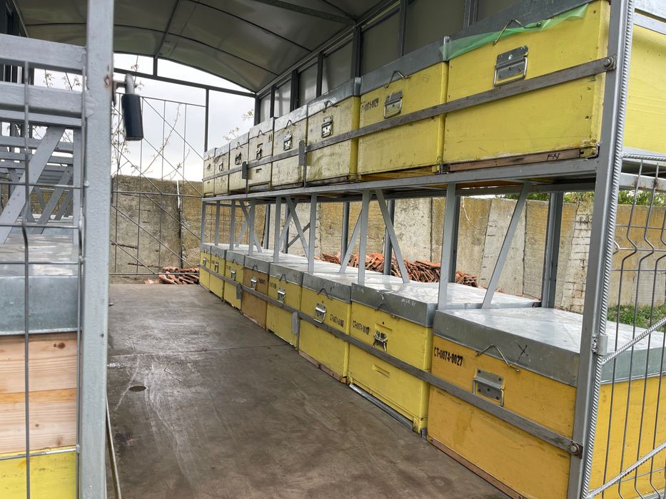 Rastel apicol cu sau fără lăzi