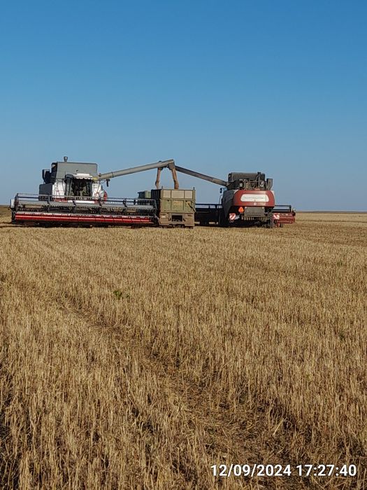 Действующее крестьянское хозяйство.