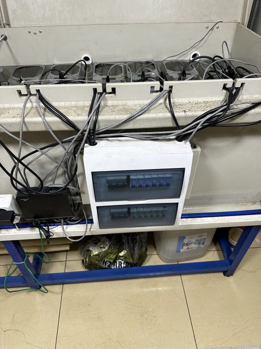 Майнинг ванна лайт койн