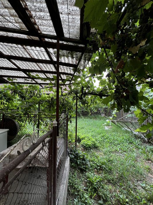 Casã de vânzare Sântioana de Mures cu curte şi 3camere