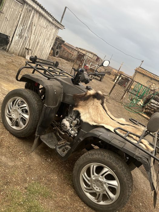 Адреналин на колесах