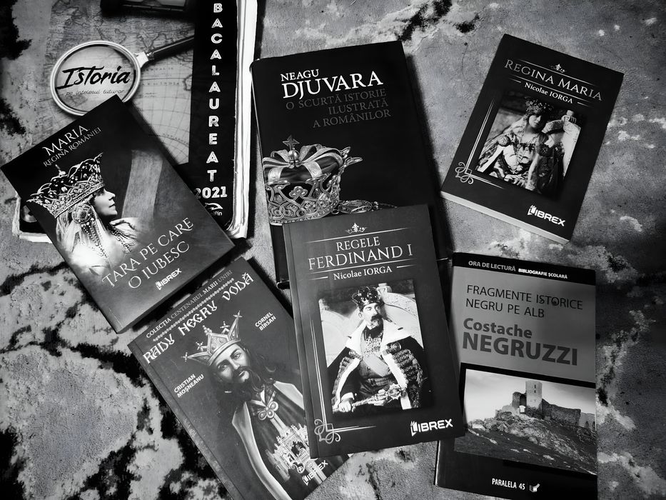 Meditații Istorie BAC  - 65 RON/ședință 90 de minute