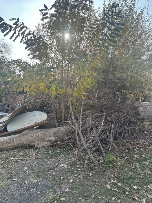 драва продам цена договорная