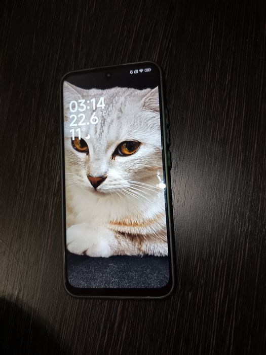 Xiaomi 13 с ips экраном