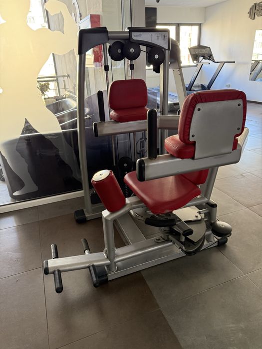 Aparat Rotary torso profesional