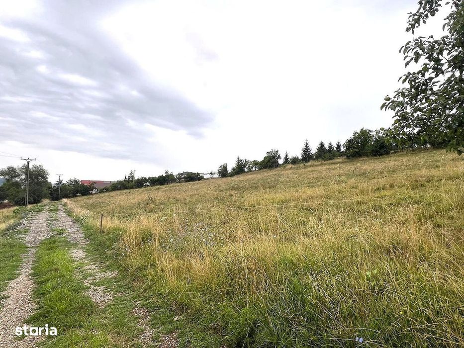 Teren intravilan Valea Castailor zona Rombat