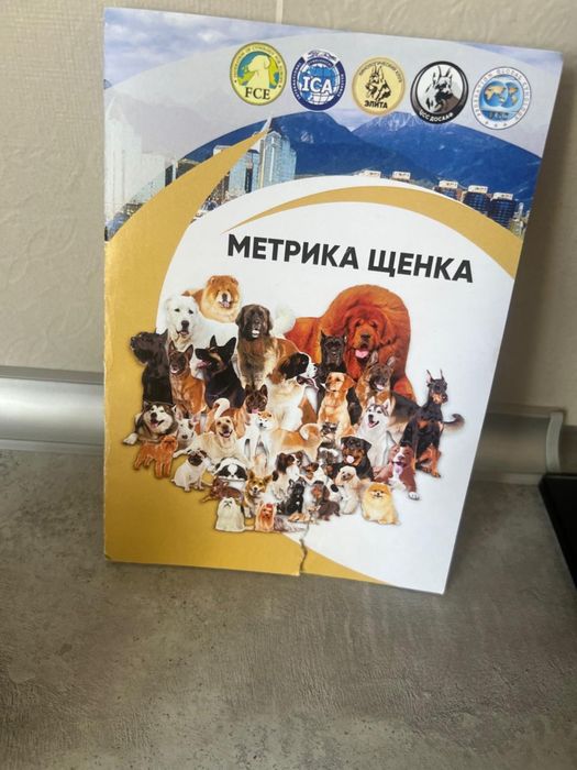 Овчарка күшік сатылады