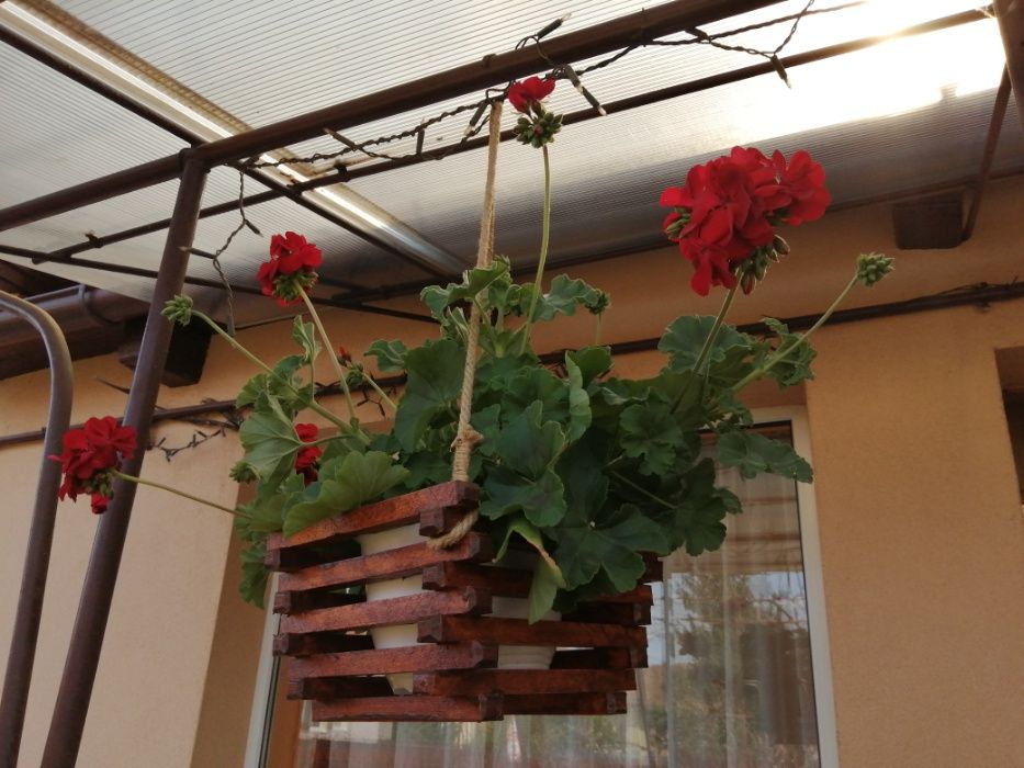 Vand masca ghiveci pentru flori, din lemn