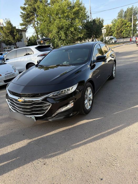 Malibu 2 premier