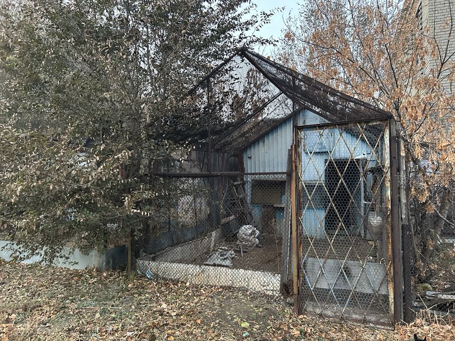 Продам две голубятни