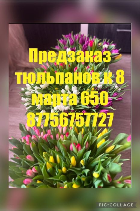 Тюльпаны 8 марта