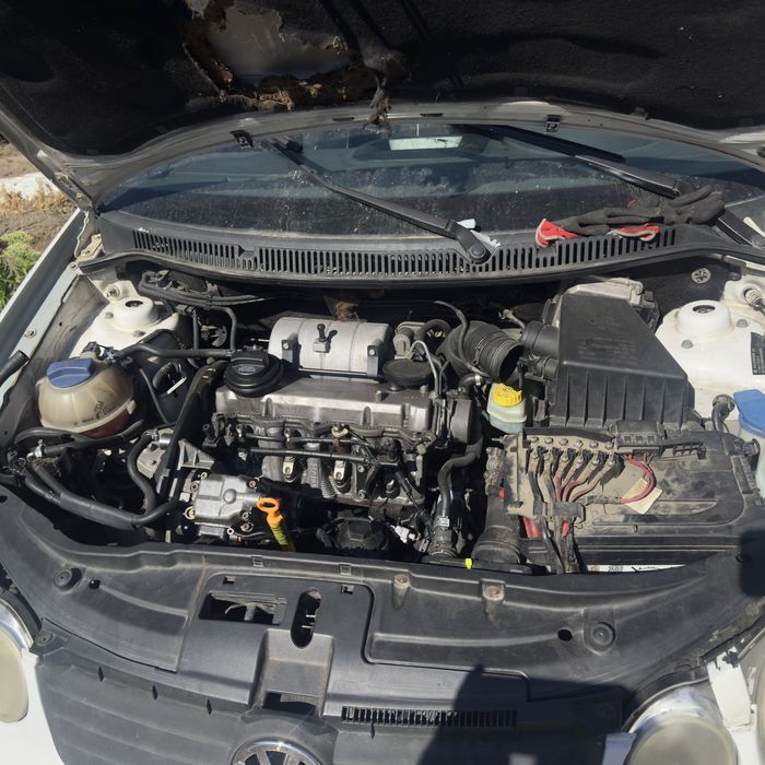 Dezembrez polo 1.9 sdi