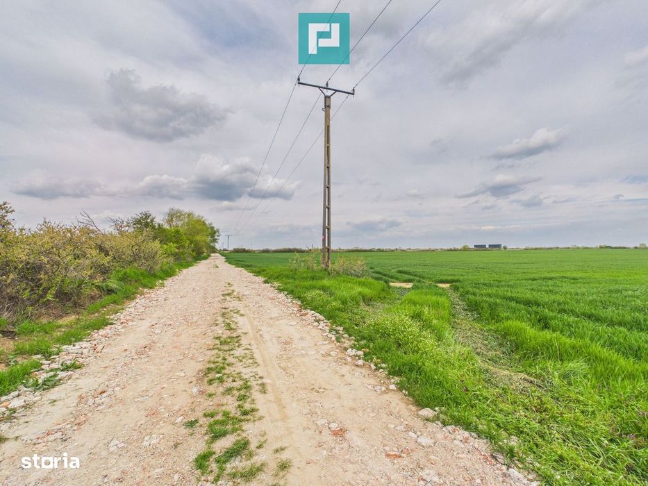 Teren extravilan 19.900 mp – Giroc centură