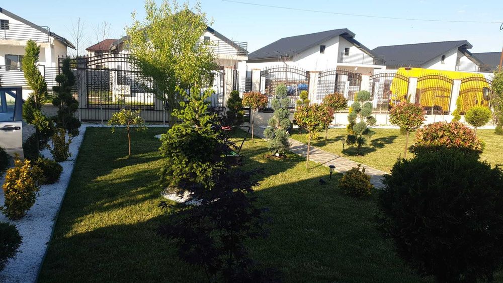 Vand plante ornamentale gradina si elemente de decor curte