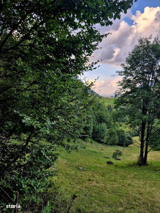 Teren investitie 8635 mp extravilan , Pestera Brasov