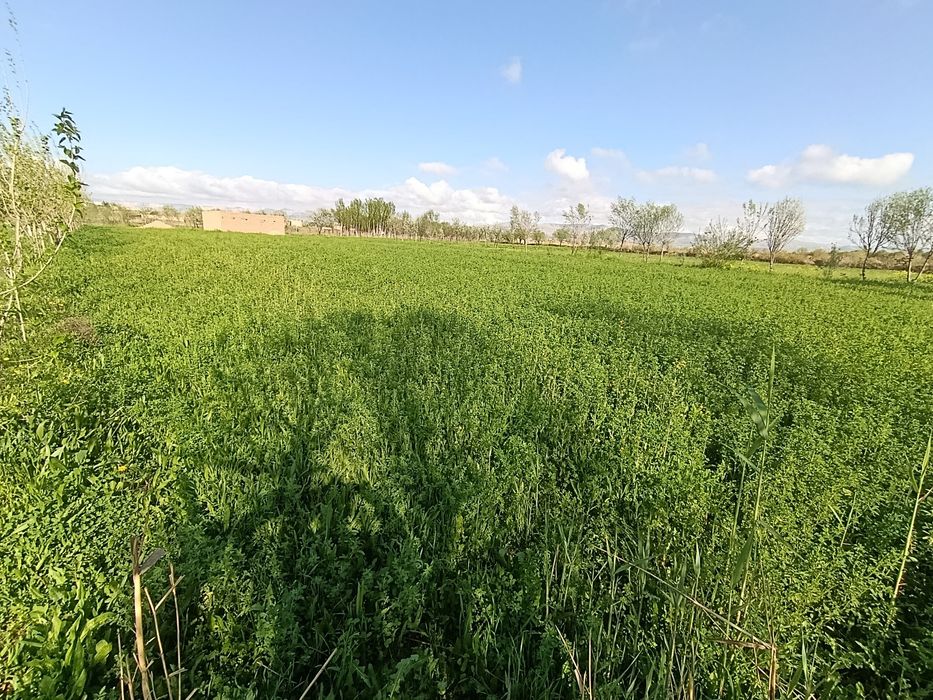 Uchastka sotish srochna