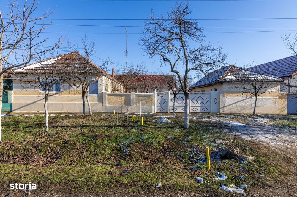 Gospodarie autentică bănățeană, cu teren generos și livadă – Frumușeni