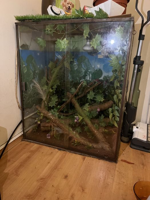 Терариум за игуана или хамалион.