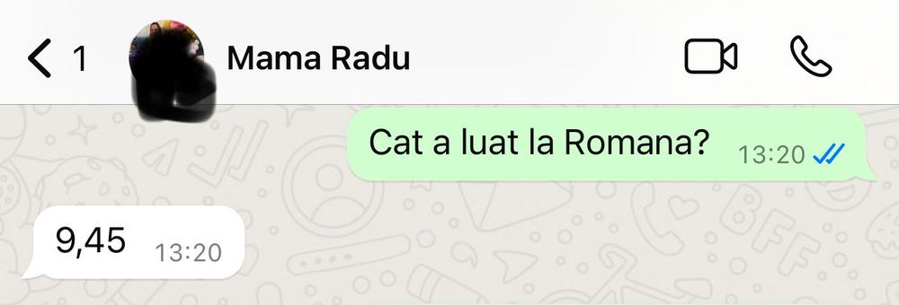 Profesor lb.romana-32 ani vechime - meditatii EN/BAC -SECT 4