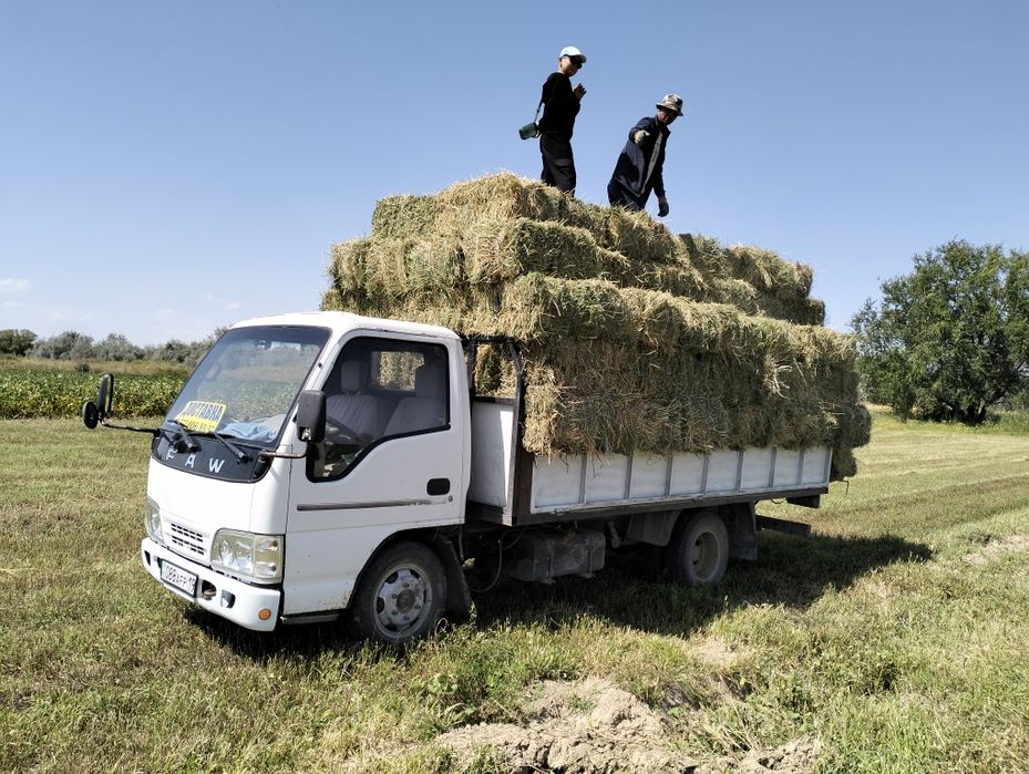 Доставки жүк тасымалдау