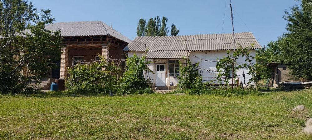 Юкори Чирчик район  Курсай махаллаучастка 20сотих