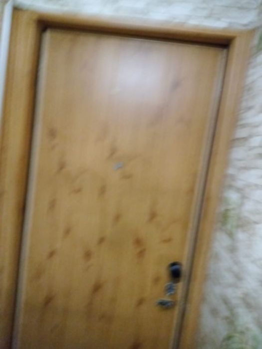 Дверь входная железная