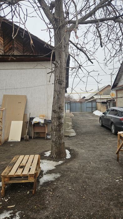 Спил деревья орех абрикос