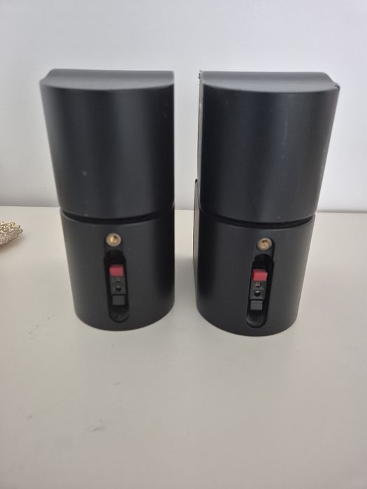 Boxe Bose double-cub