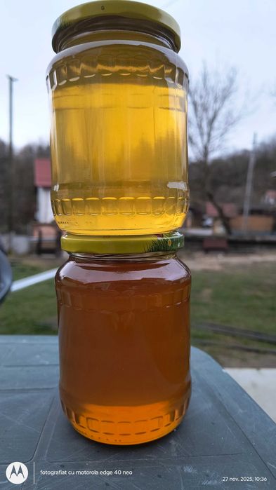 Vând miere de salcâm