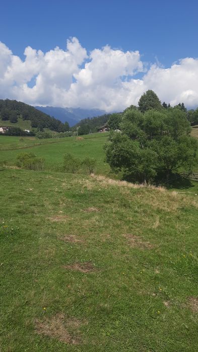 Teren oferta buna 600 mp