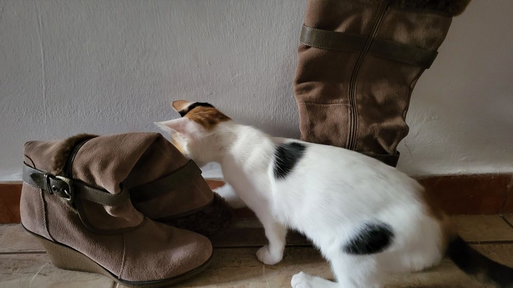 Cizme de damă imblanite