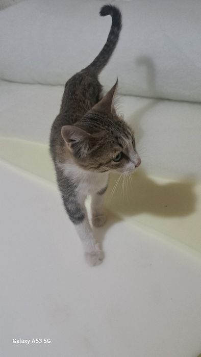 Faqat reaniy oladiganlaga