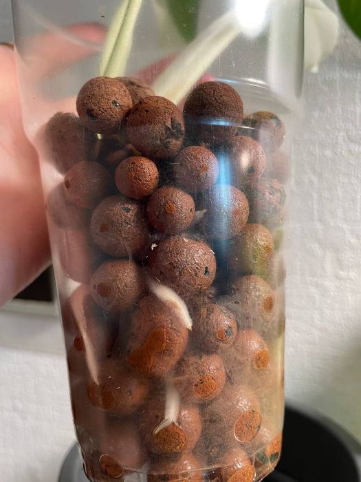 Керамзит Андижан/Andijon da mega aksiya optim narxlar!