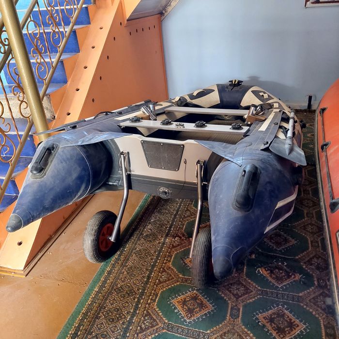 Lotka sotiladi kareski