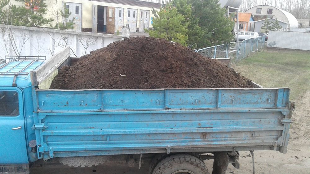 Перегной, чернозем, опилки и т.д.