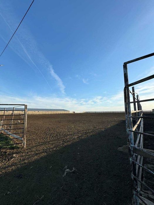 Продам крестьянское хозяйство