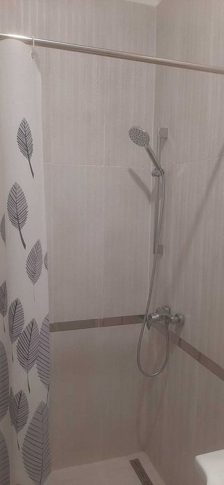 Inchiriez parter casa, 2 ap cu 2 camere si o garsoniera, zona Unirii