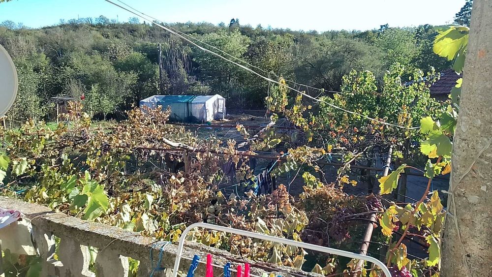 Продава се Къща в Тополовград - 1619 кв.м за 95 €/кв.м - Снимка #11