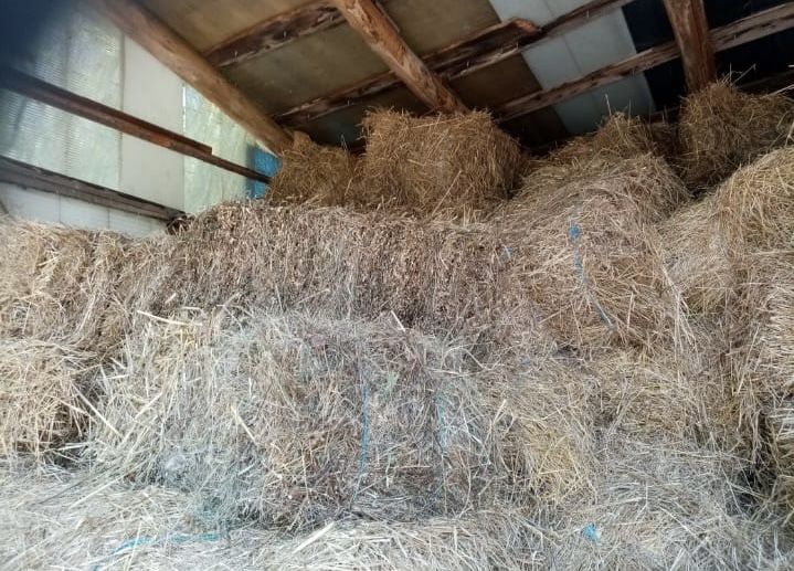 Vand baloti de fan, otava, paie.