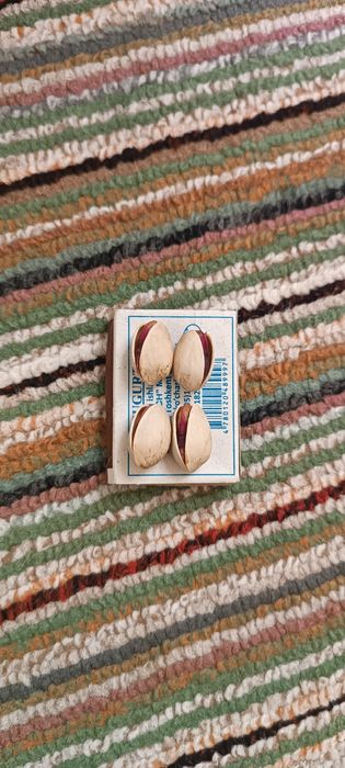 Pista uruglar sotlad ..