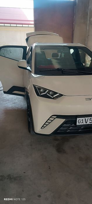 Амортизатор Byd Amortizator амортизатор  BYD