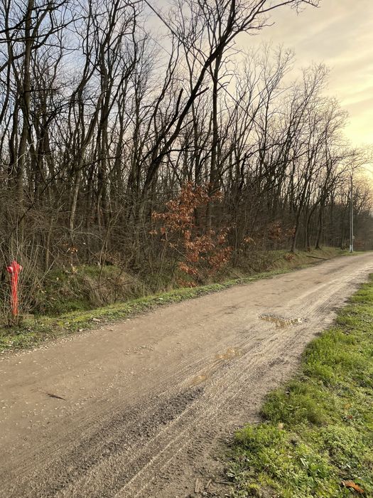 Teren lângă pădurea Alparea, Oradea