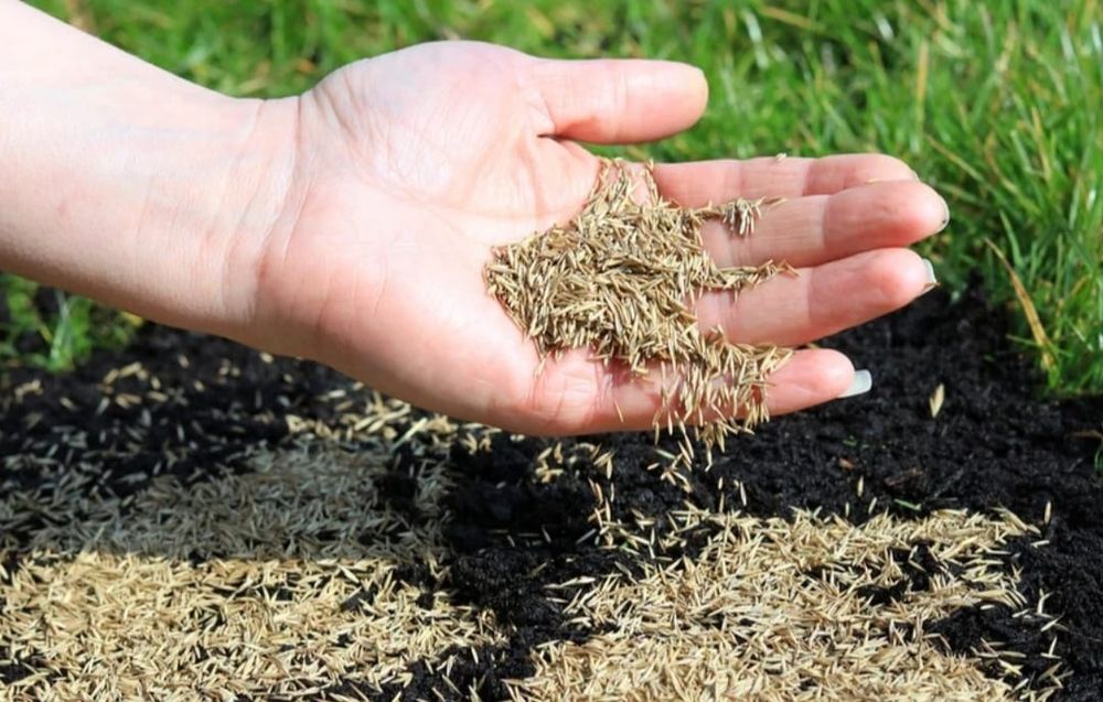 Жер аудару,газон егу 1000тг