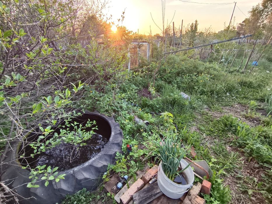 Продам дачу в с.о. Вишенка